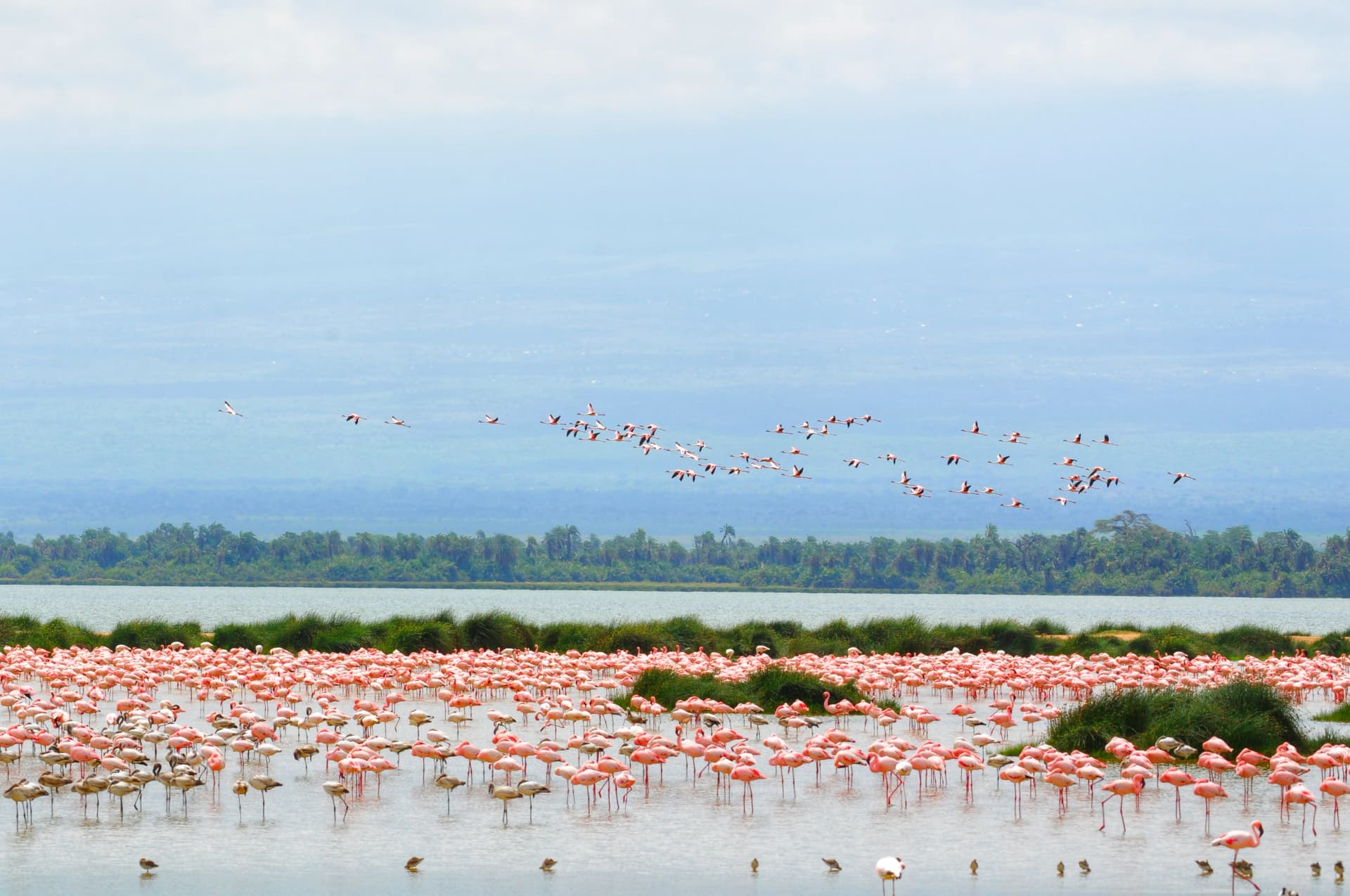 Small Group African Safari Tours in Kenya