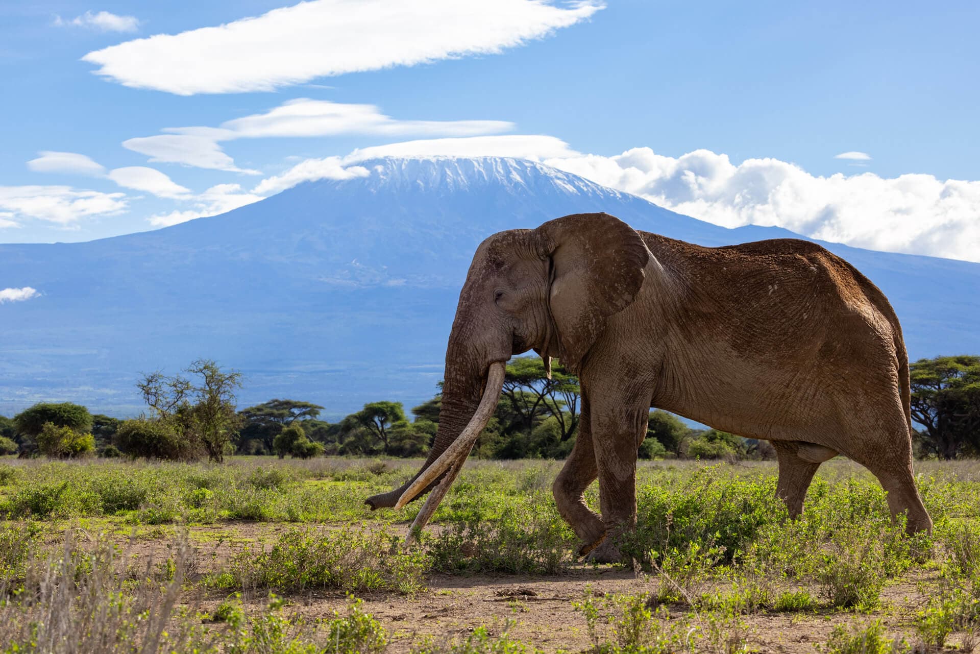 Angama Amboseli Luxury Lodge