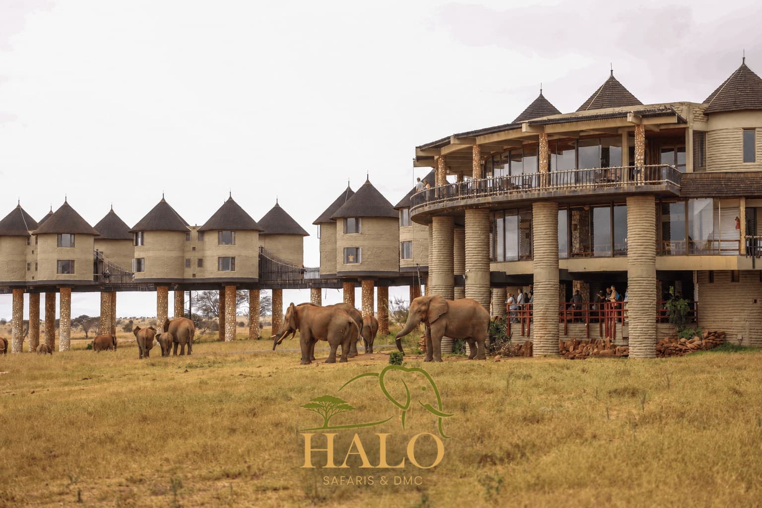 2-Day Tsavo East Safari