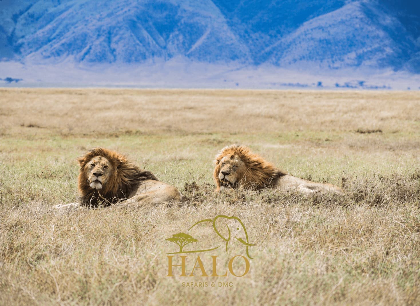 3-Day Tsavo East Safari