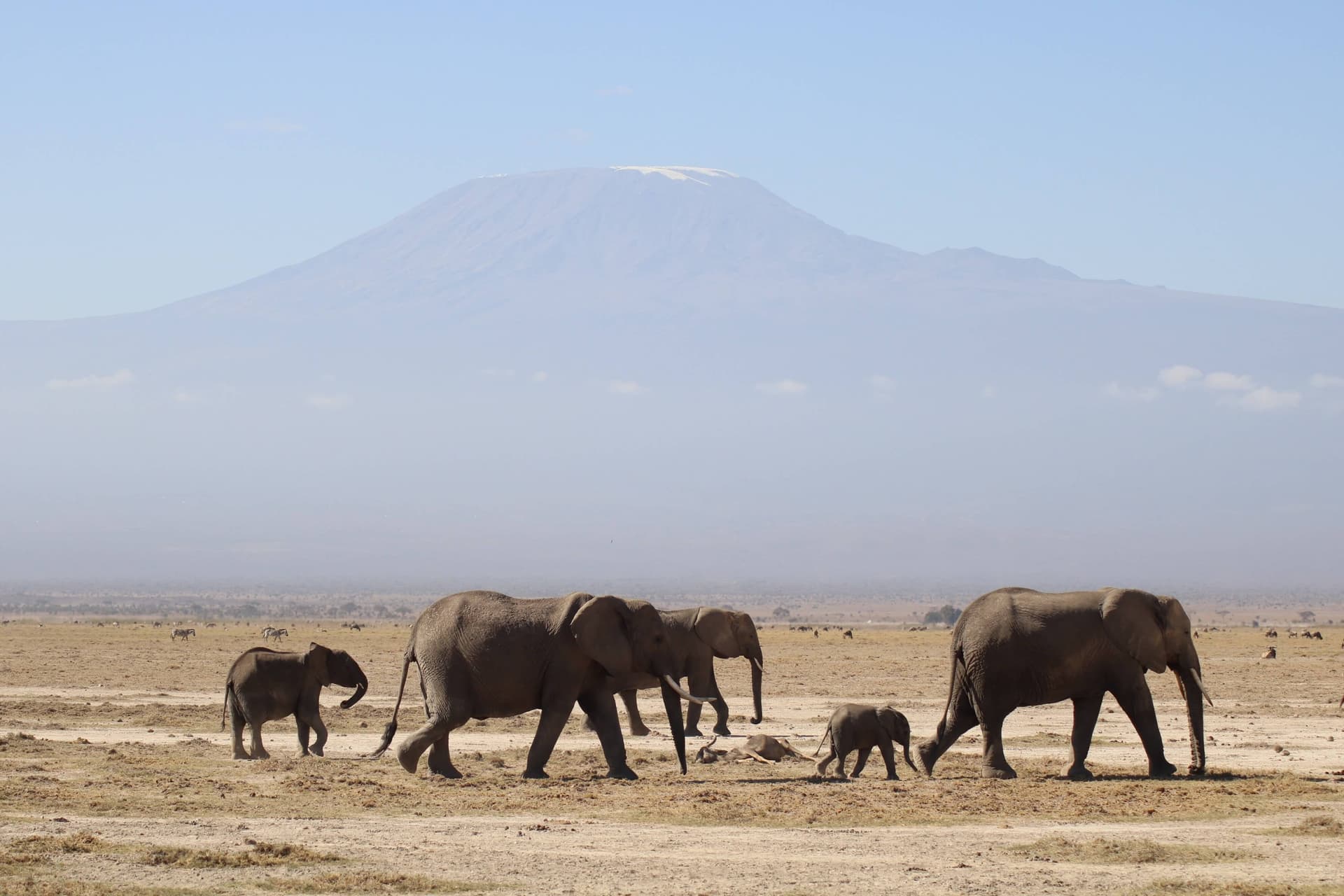Activities in Amboseli National Park Safari Packages