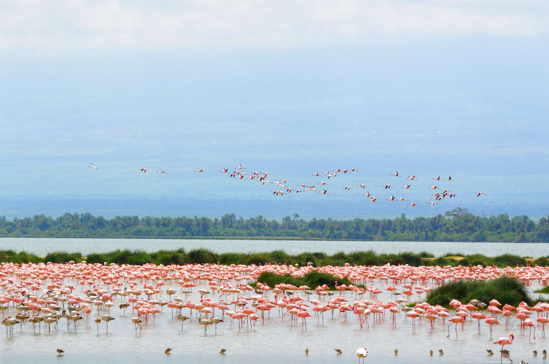 14-Day Luxury Fly-In and Road Safari Kenya from Nairobi