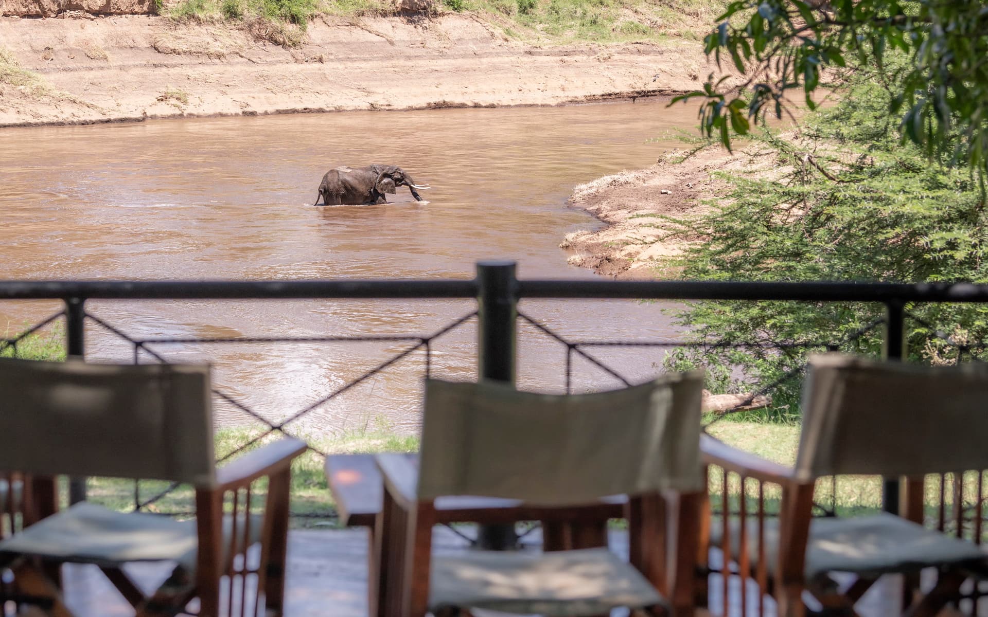 A tent facing Mara River in Governor's Camp.jpg