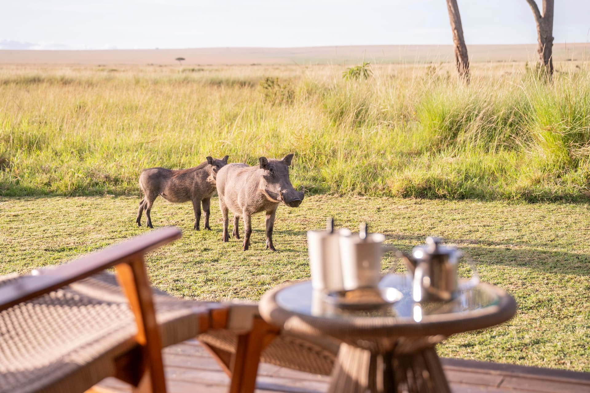 Breakfast at Governor's Camp.jpg