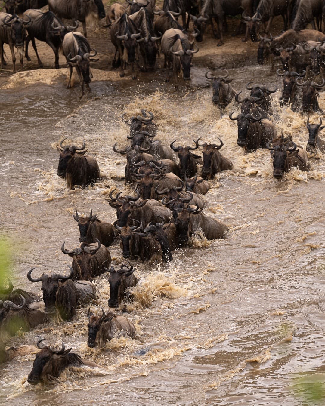 Parks in Maasai Mara Safari Packages