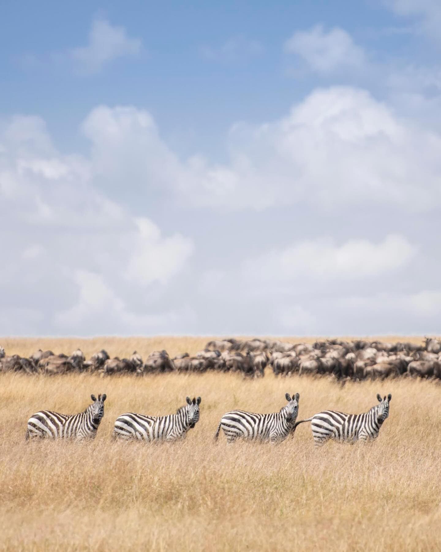 2-Day Maasai Mara Safari from Nairobi