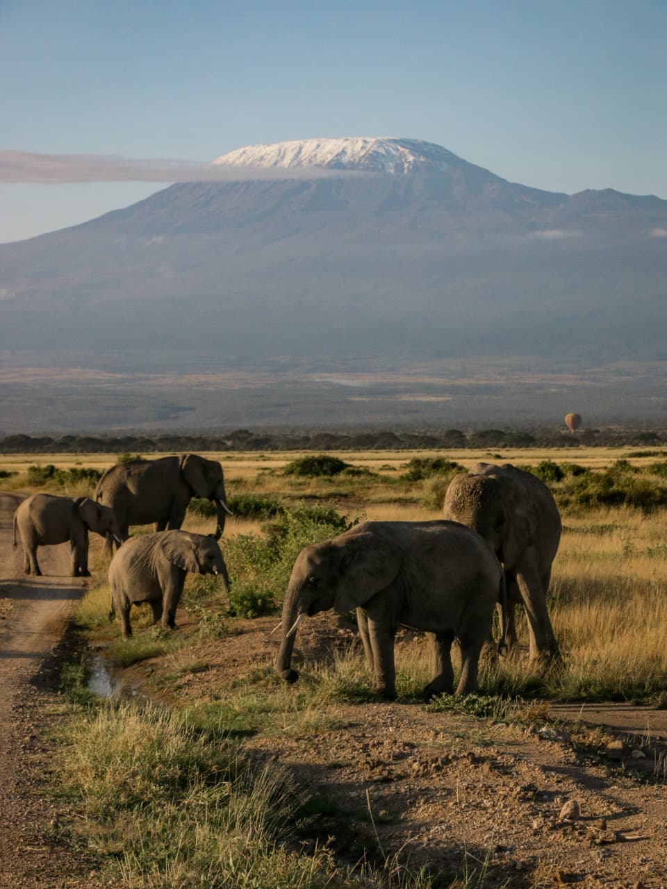 Amboseli National Park