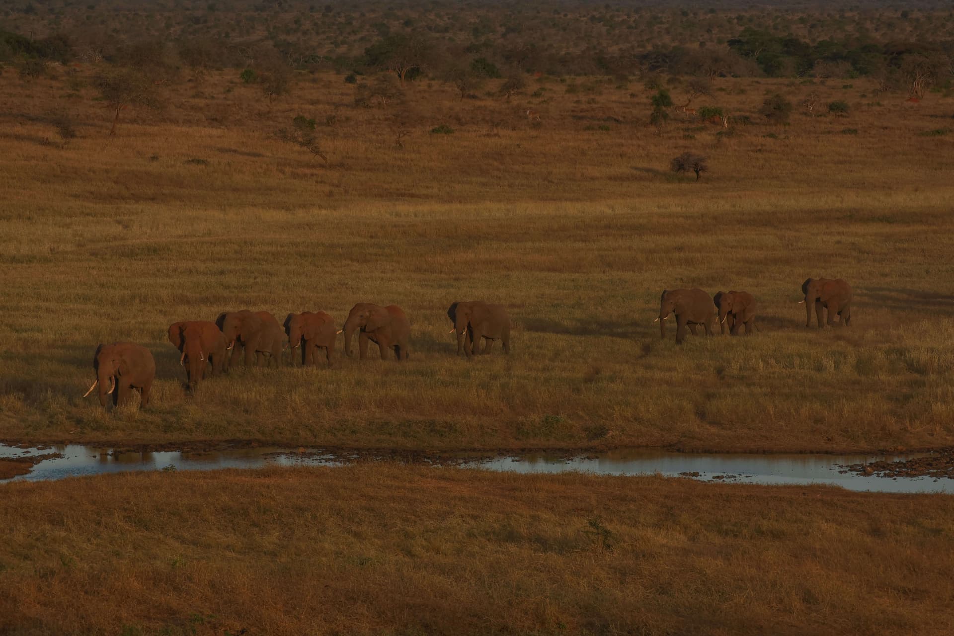 10-Day Nairobi, Amboseli, Tsavo and Malindi Safari