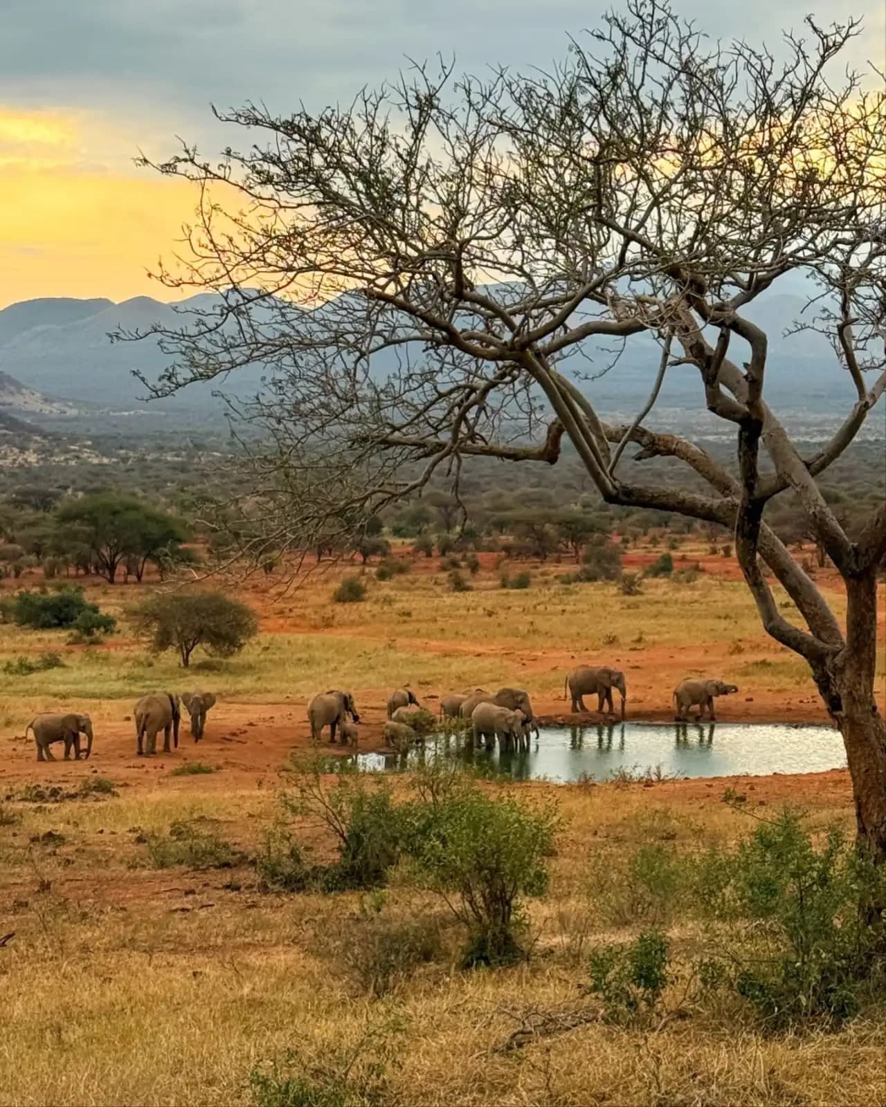 Tsavo West National Park